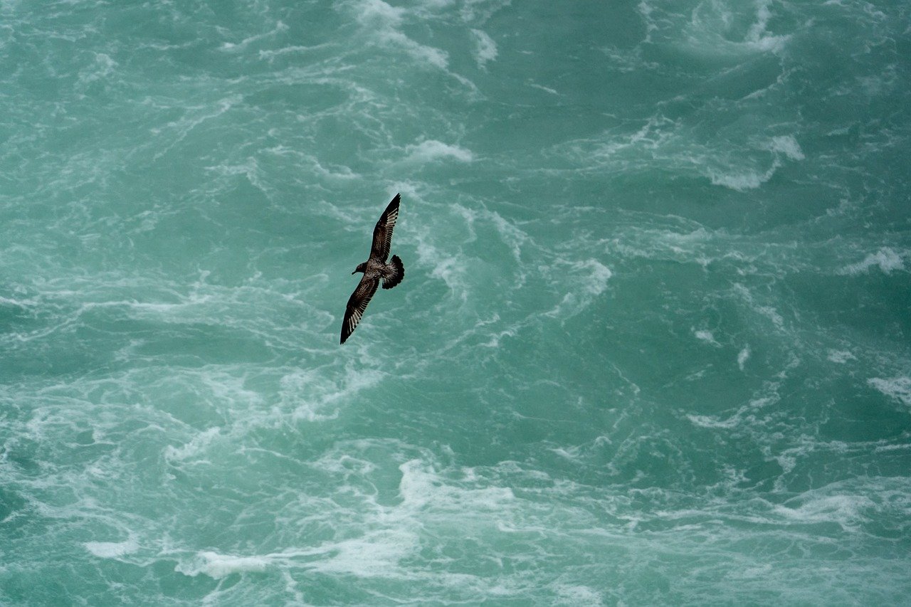 経営者が数字を苦手に感じる理由とは？ ──数字が分からなくても会社を守る「60点経営」の考え方