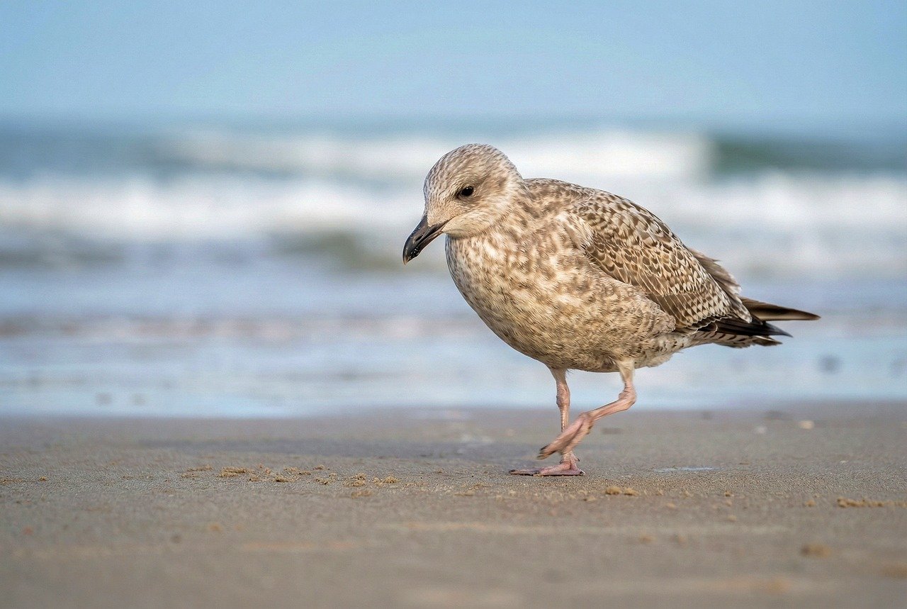 正しい助言が、経営者の行動を止めてしまう理由 ──経営改善が進まない現場で本当に起きていること